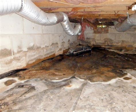 flooded crawl space cleanup